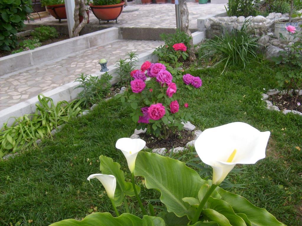 Apartments Bovan Χέρτσεγκ Νόβι Εξωτερικό φωτογραφία